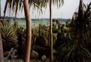 singapur3.jpg