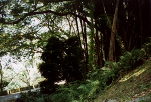 singapur4.jpg