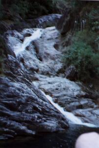 eungella6.jpg