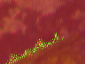 forestfirelogo